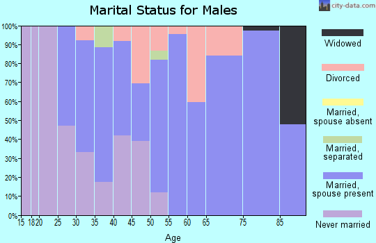 Zip code 43045 marital status for males
