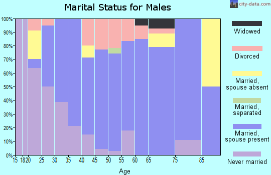 Zip code 43046 marital status for males