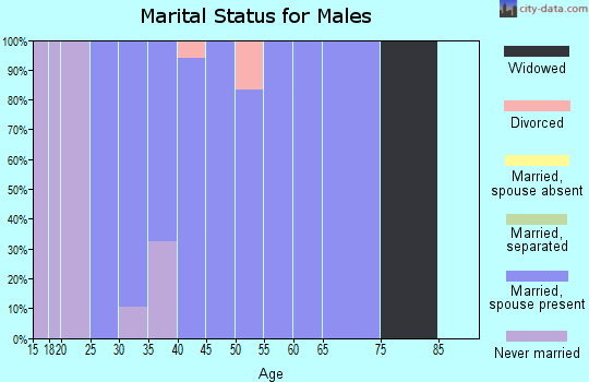 Zip code 43067 marital status for males