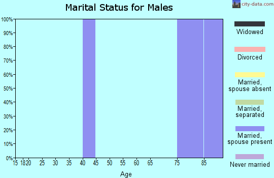 Zip code 43070 marital status for males