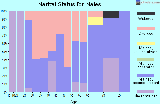 Zip code 43071 marital status for males
