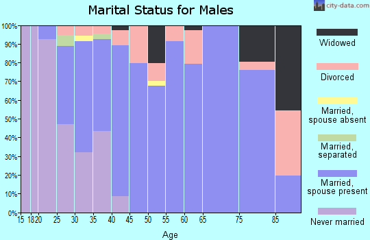 Zip code 43072 marital status for males