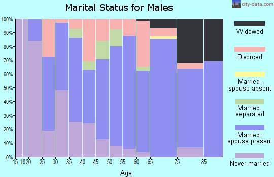 Zip code 43076 marital status for males