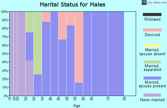 Zip code 43077 marital status for males