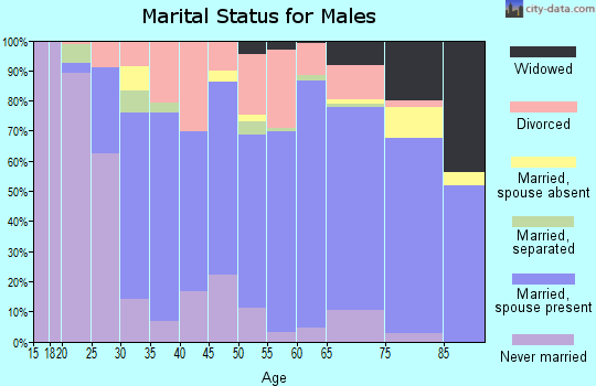 Zip code 43078 marital status for males