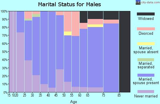 Zip code 43080 marital status for males