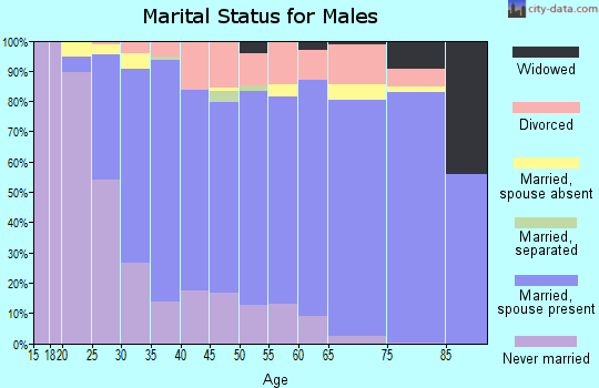 Zip code 43085 marital status for males