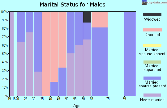 Zip code 43101 marital status for males