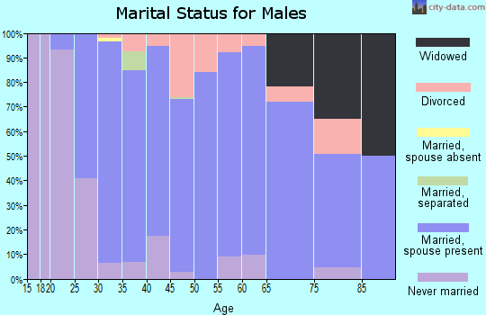 Zip code 43103 marital status for males