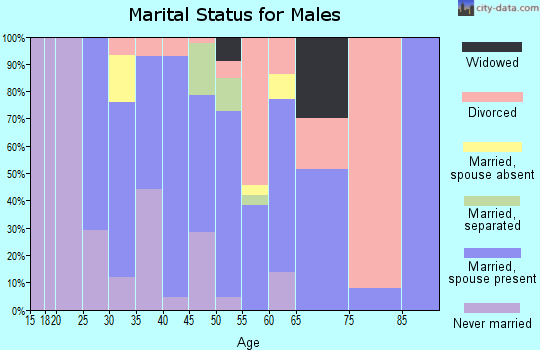 Zip code 43106 marital status for males