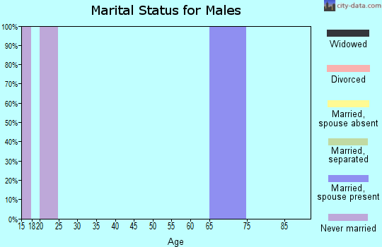 Zip code 43111 marital status for males