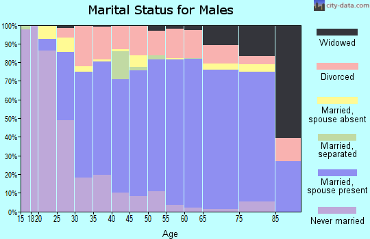 Zip code 43113 marital status for males