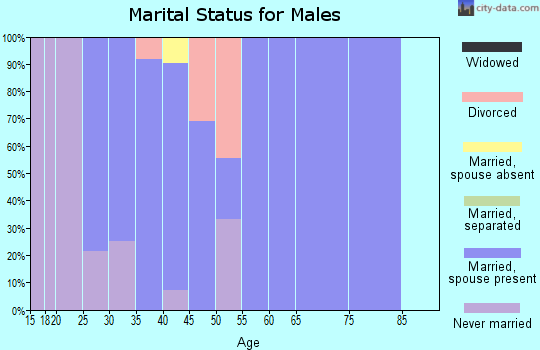 Zip code 43116 marital status for males