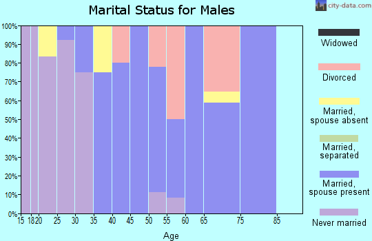 Zip code 43126 marital status for males