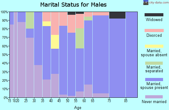 Zip code 43128 marital status for males