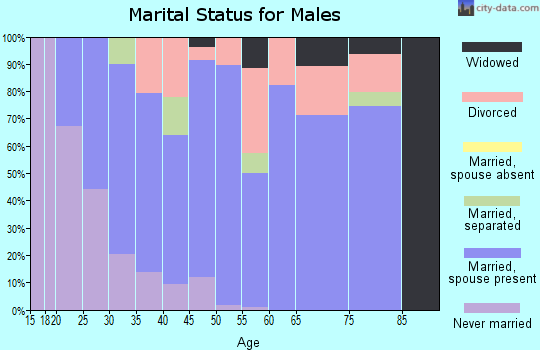 Zip code 43135 marital status for males