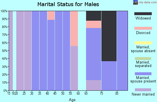 Zip code 43136 marital status for males