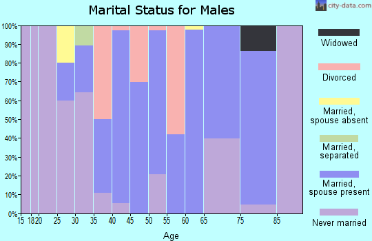 Zip code 43137 marital status for males
