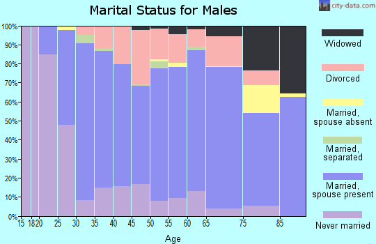 Zip code 43138 marital status for males