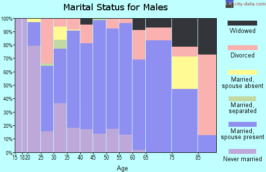 Zip code 43143 marital status for males