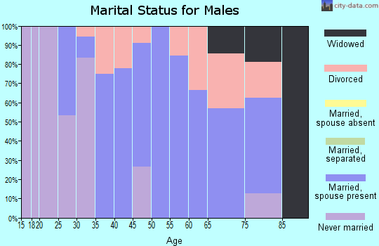Zip code 43144 marital status for males