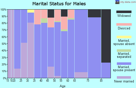 Zip code 43145 marital status for males
