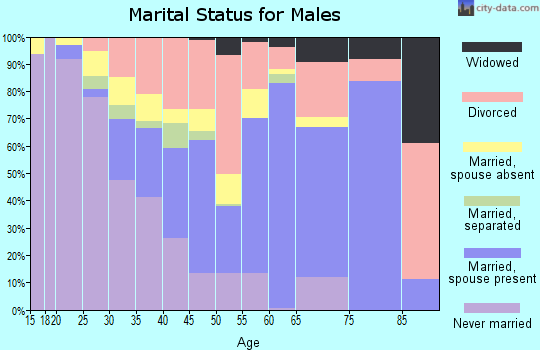 Zip code 43146 marital status for males