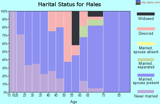 Zip code 43149 marital status for males