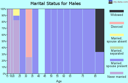 Zip code 43151 marital status for males