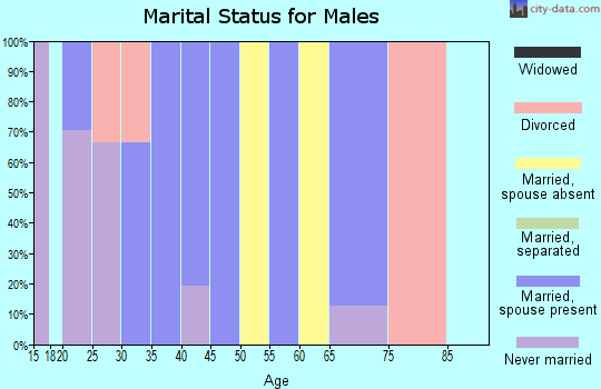 Zip code 43152 marital status for males