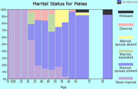 Zip code 43155 marital status for males