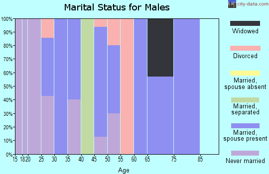 Zip code 43156 marital status for males