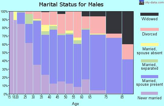 Zip code 43160 marital status for males