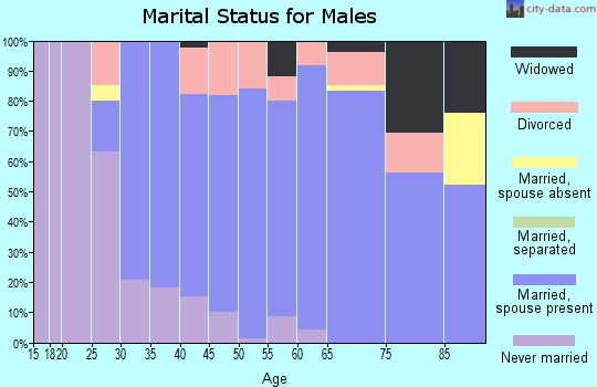 Zip code 43162 marital status for males