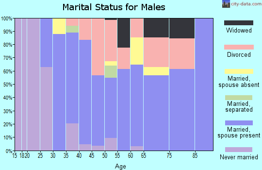 Zip code 43164 marital status for males