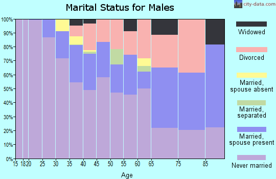 Zip code 43201 marital status for males