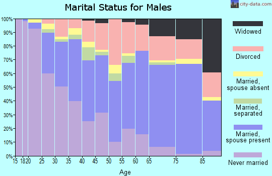 Zip code 43207 marital status