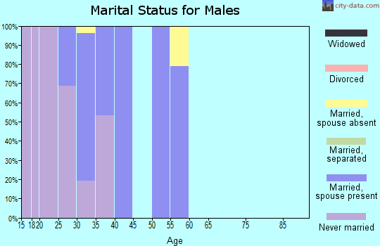 Zip code 43210 marital status for males