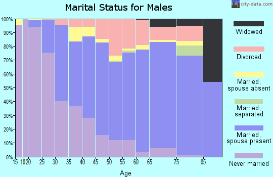 Zip code 43220 marital status for males