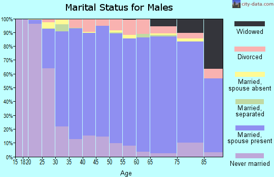 Zip code 43221 marital status for males