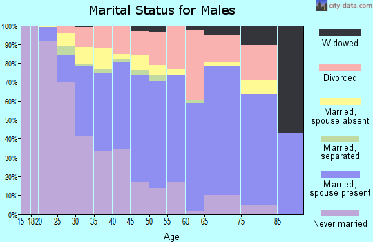 Zip code 43229 marital status for males