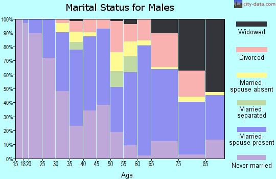 Zip code 43231 marital status for males
