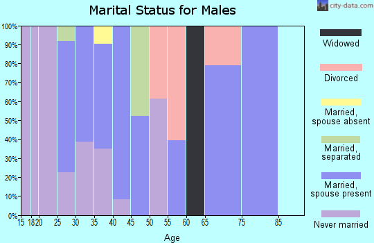 Zip code 43240 marital status for males