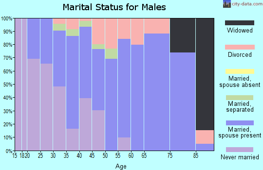 Zip code 43316 marital status for males