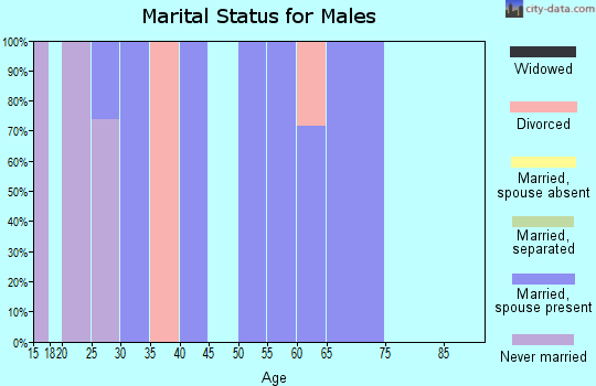 Zip code 43319 marital status for males