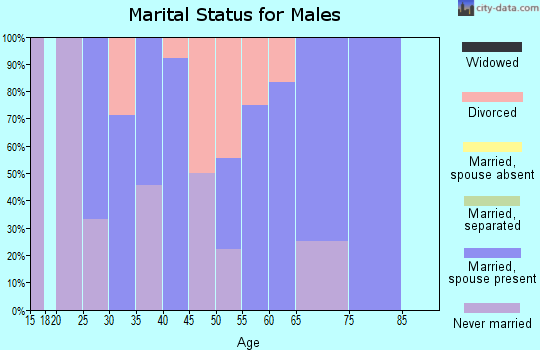 Zip code 43321 marital status for males