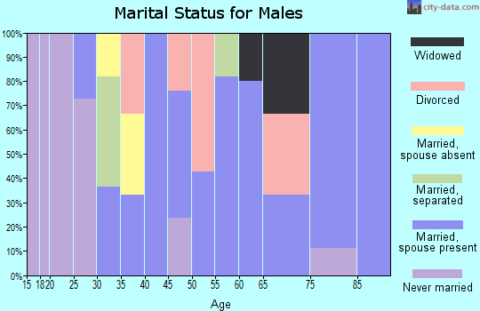 Zip code 43322 marital status for males