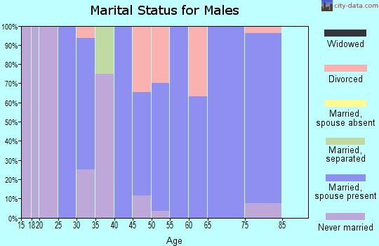 Zip code 43323 marital status for males
