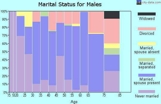 Zip code 43334 marital status for males