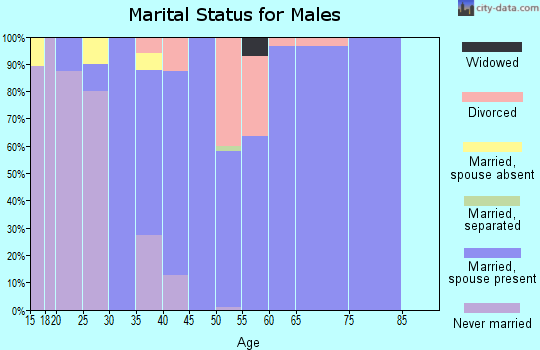Zip code 43337 marital status for males